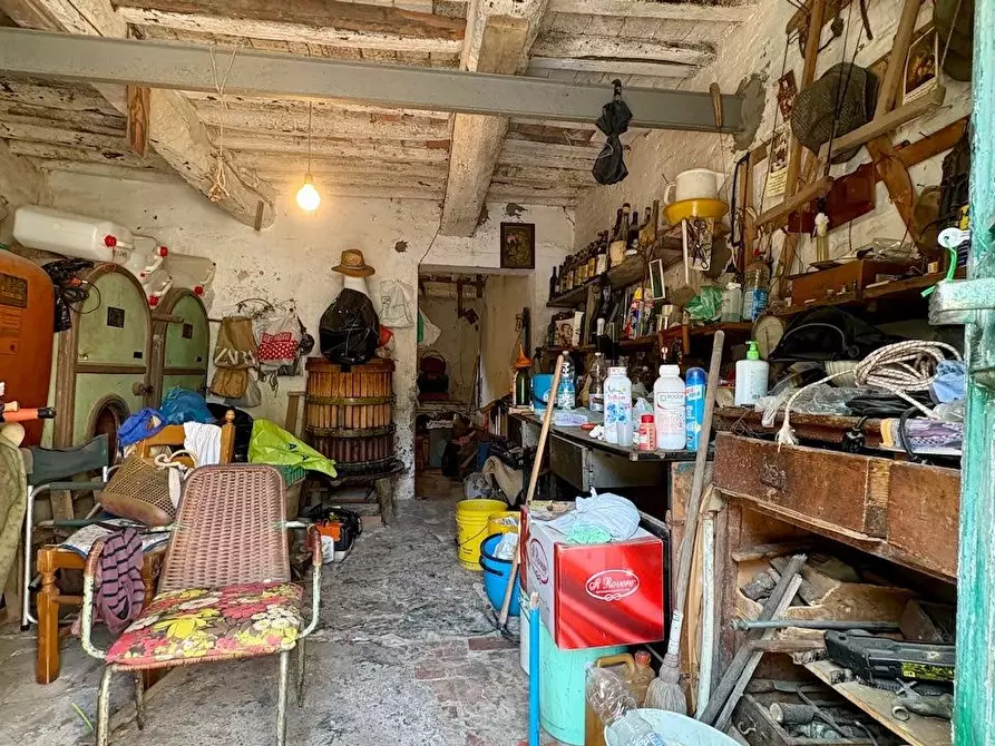 Immagine 25 di Rustico / casale in vendita  a Palaia