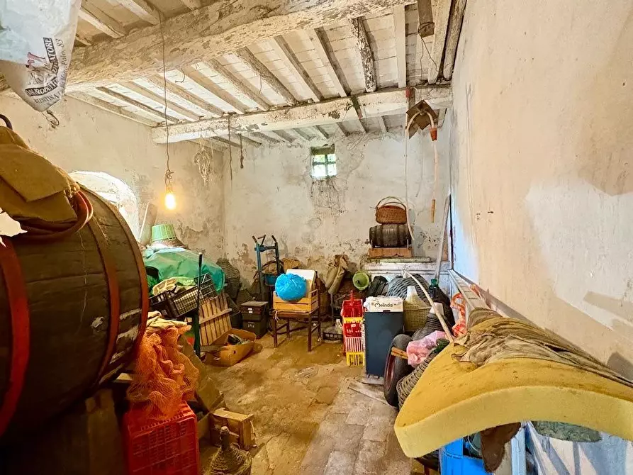 Immagine 27 di Rustico / casale in vendita  a Palaia