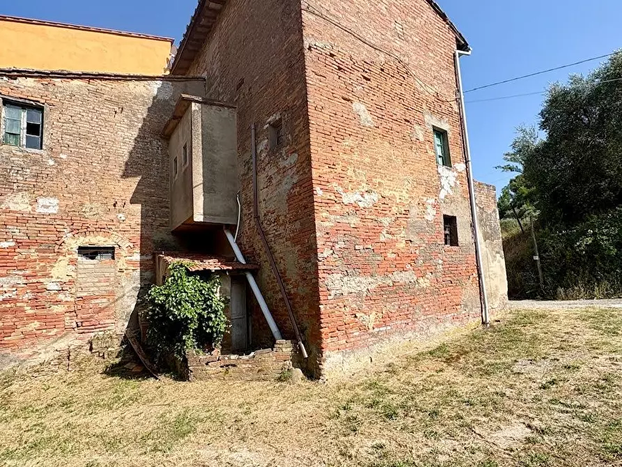 Immagine 5 di Rustico / casale in vendita  a Palaia