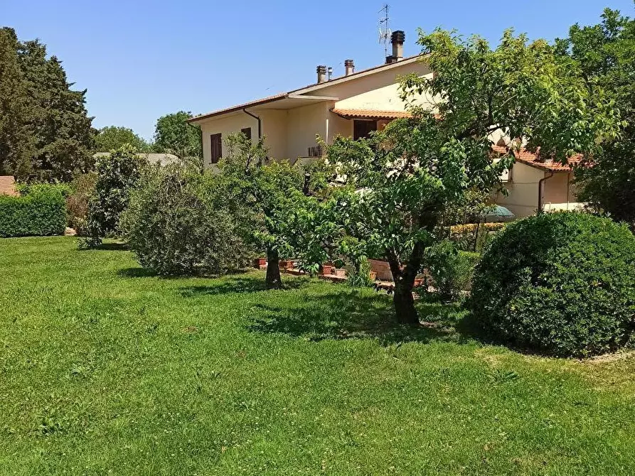 Immagine 7 di Casa indipendente in vendita  a Collesalvetti