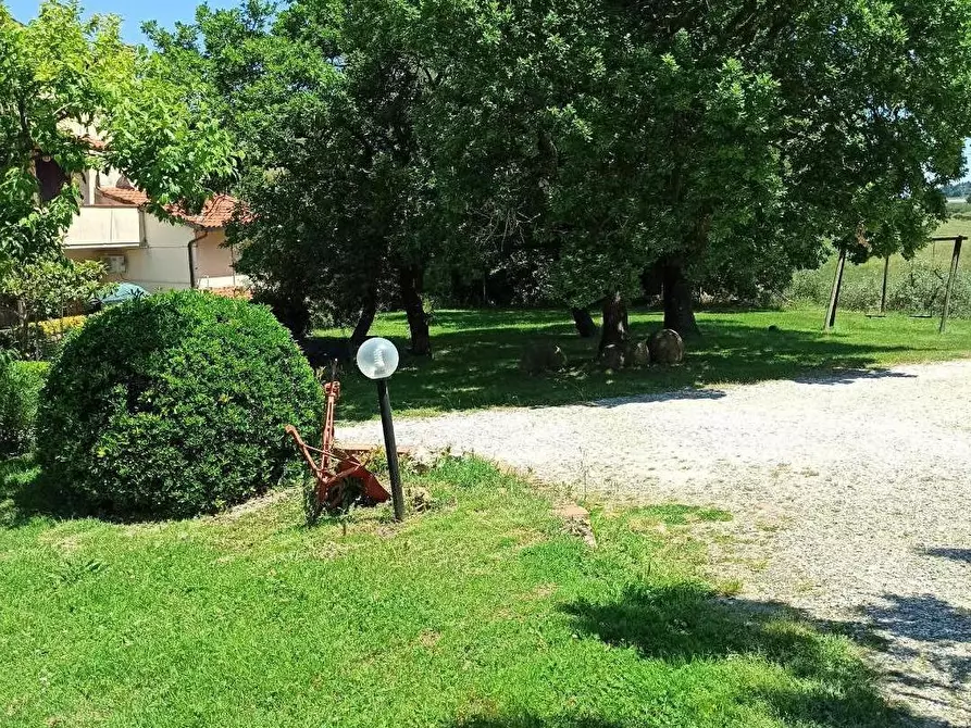 Immagine 6 di Casa indipendente in vendita  a Collesalvetti