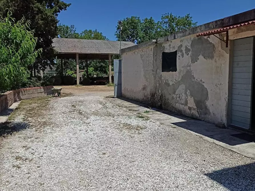 Immagine 12 di Casa indipendente in vendita  a Collesalvetti