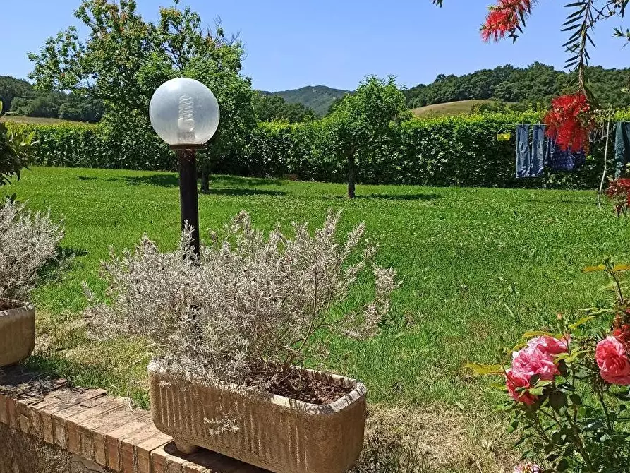 Immagine 9 di Casa indipendente in vendita  a Collesalvetti