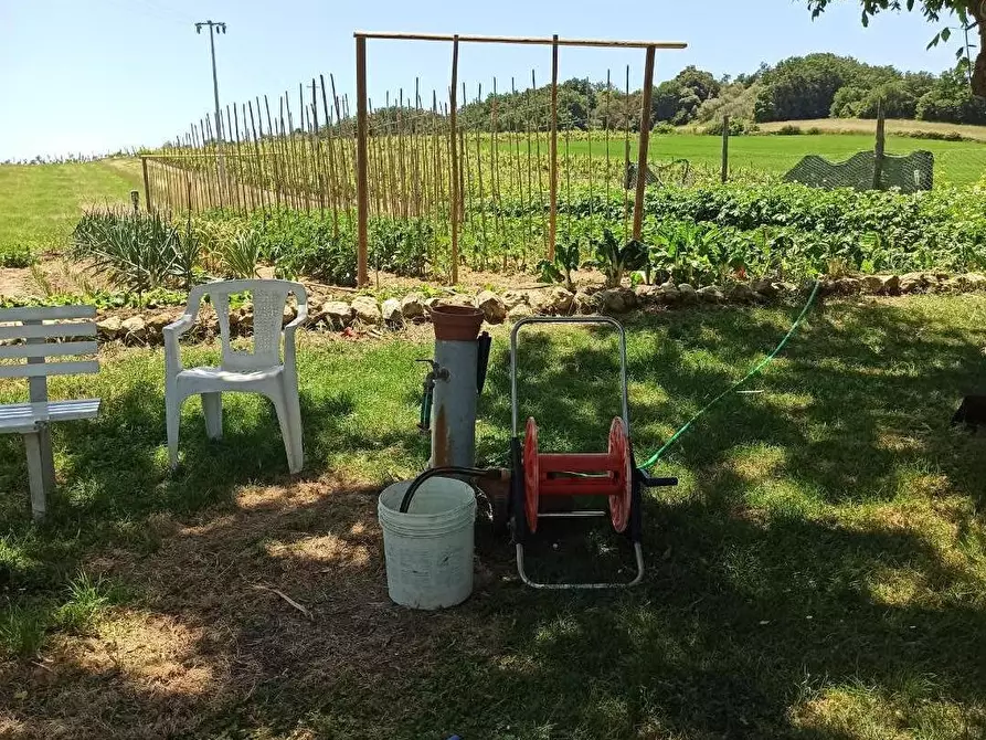 Immagine 4 di Casa indipendente in vendita  a Collesalvetti