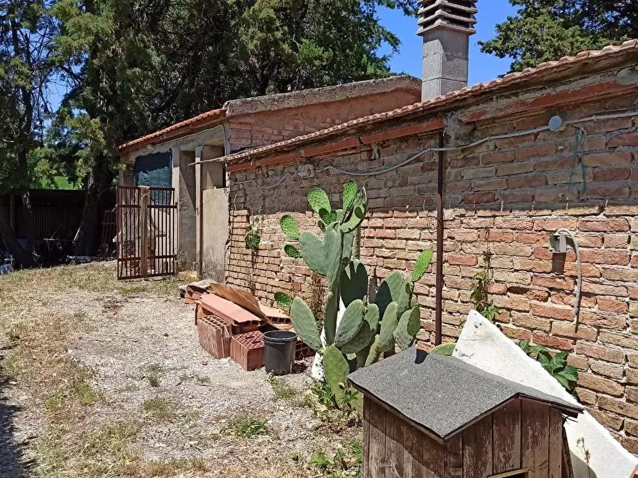 Immagine 20 di Casa indipendente in vendita  a Collesalvetti