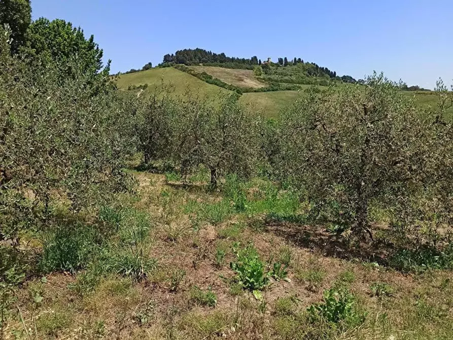 Immagine 26 di Casa indipendente in vendita  a Collesalvetti