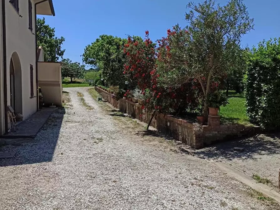 Immagine 16 di Casa indipendente in vendita  a Collesalvetti