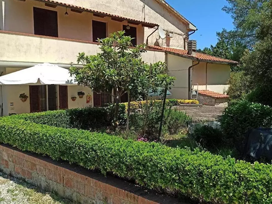 Immagine 2 di Casa indipendente in vendita  a Collesalvetti