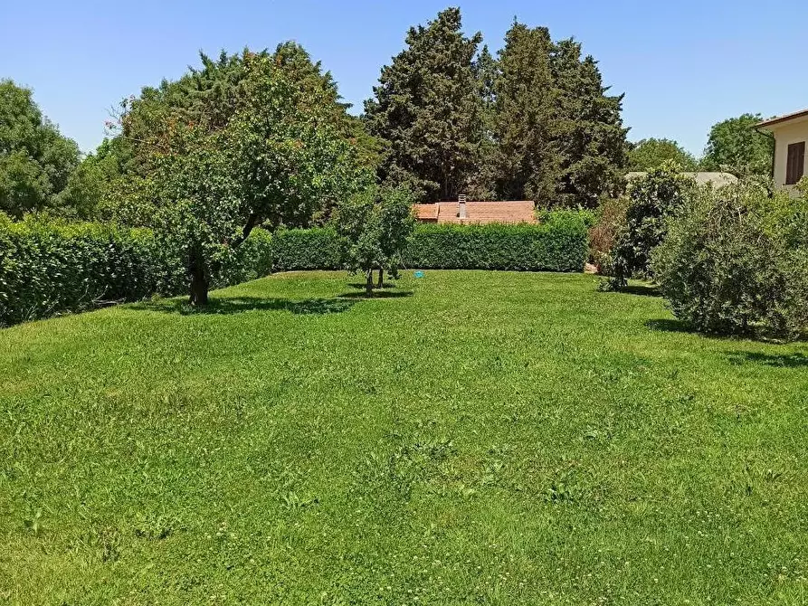 Immagine 8 di Casa indipendente in vendita  a Collesalvetti