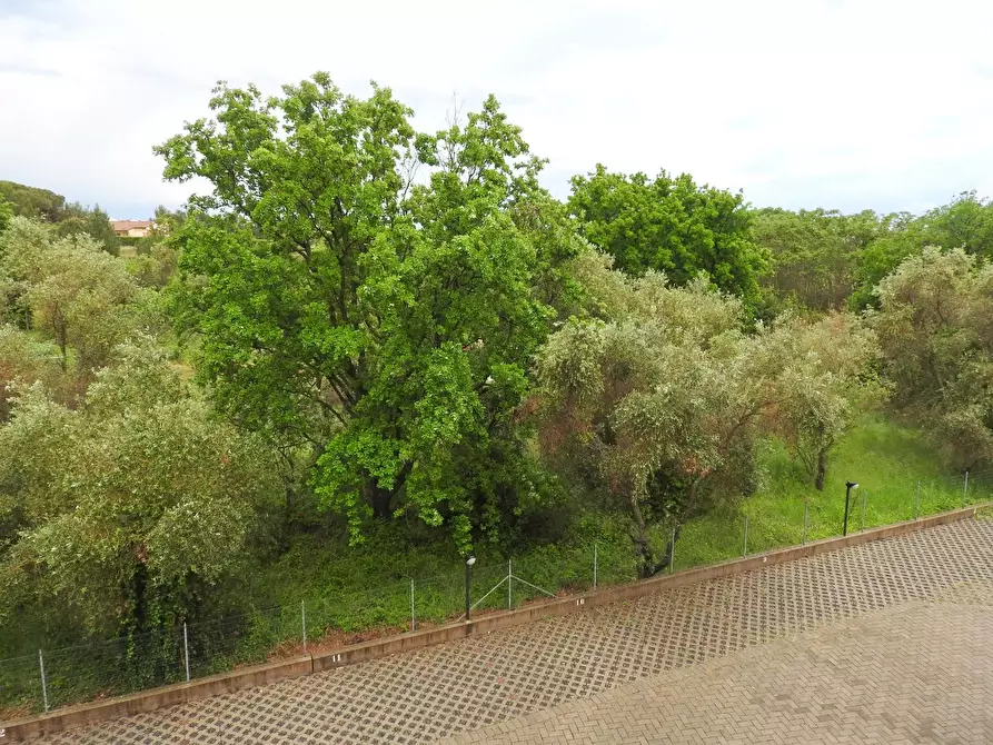 Immagine 16 di Appartamento in vendita  a Cecina