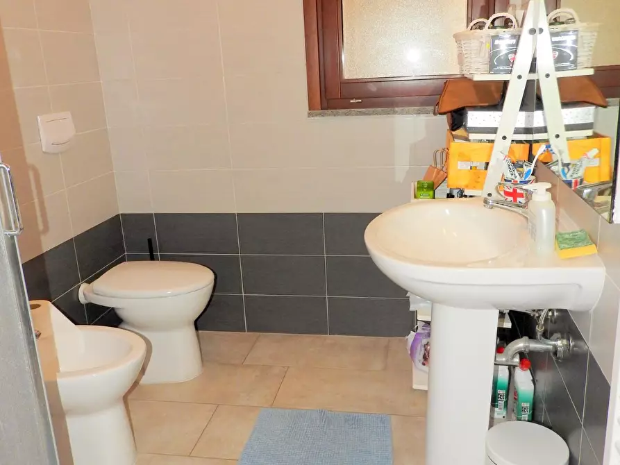 Immagine 14 di Appartamento in vendita  a Cecina