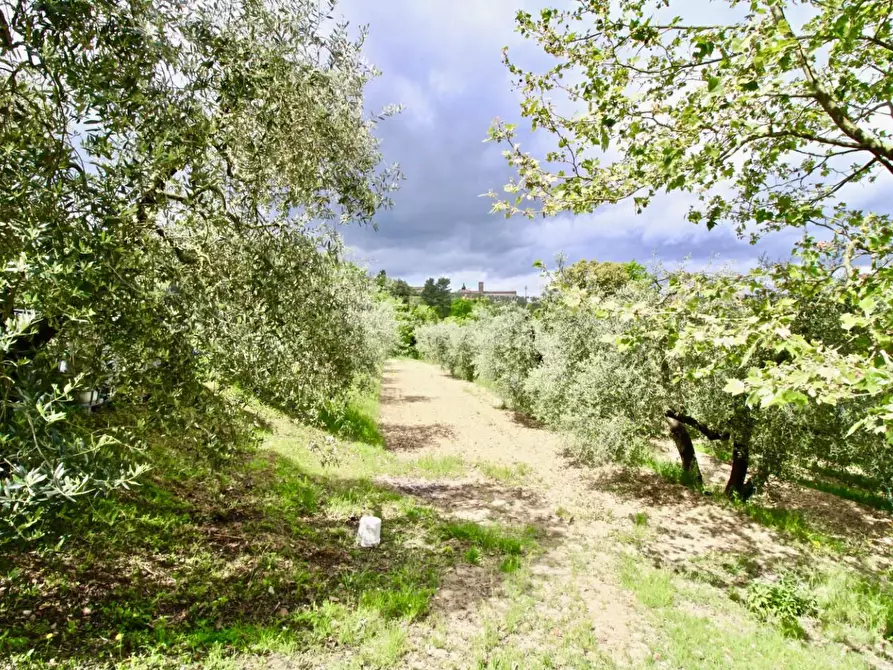 Immagine 17 di Casa indipendente in vendita  a Montopoli In Val D'arno