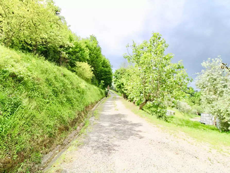 Immagine 18 di Casa indipendente in vendita  a Montopoli In Val D'arno