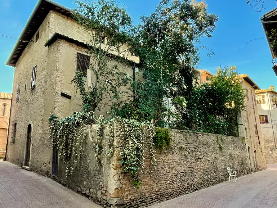 Immagine 7 di Palazzo in vendita  a San Gimignano