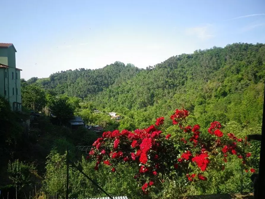 Immagine 17 di Appartamento in vendita  a Carrara