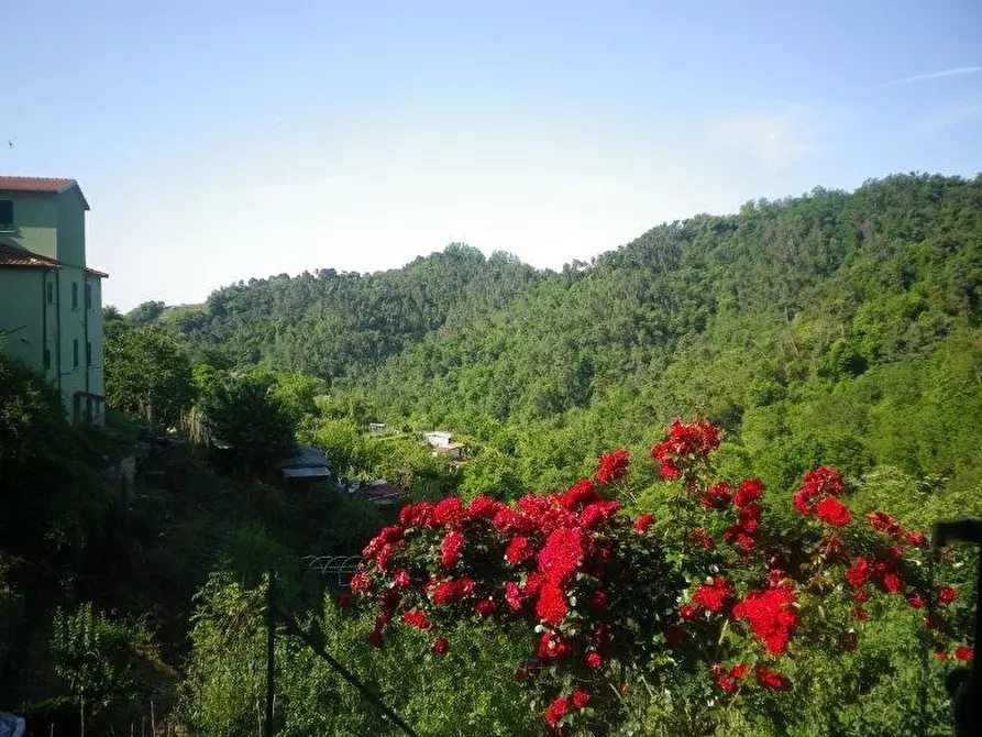 Immagine 18 di Appartamento in vendita  a Carrara