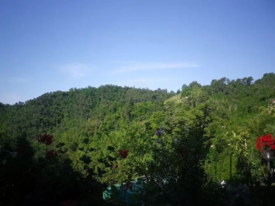 Immagine 5 di Appartamento in vendita  a Carrara