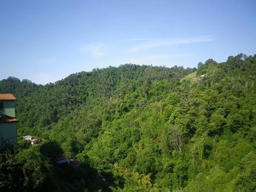 Immagine 12 di Appartamento in vendita  a Carrara