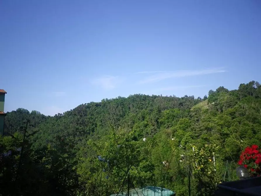 Immagine 6 di Appartamento in vendita  a Carrara