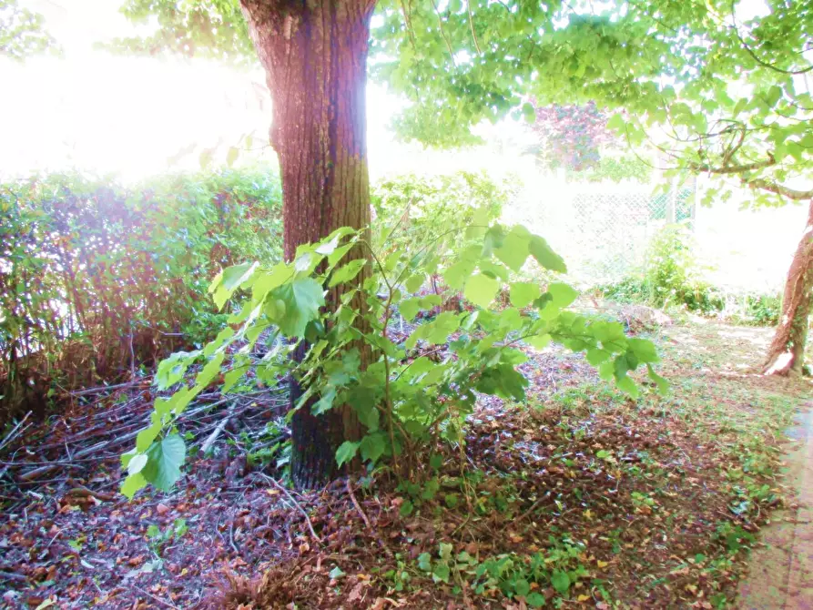 Immagine 3 di Villa in vendita  a Pontedera