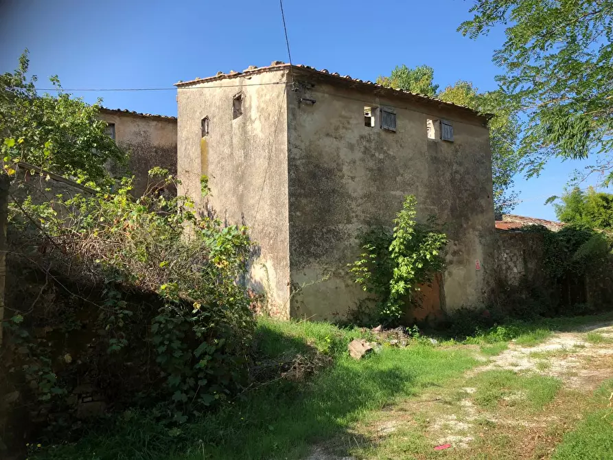 Immagine 14 di Rustico / casale in vendita  a San Giuliano Terme