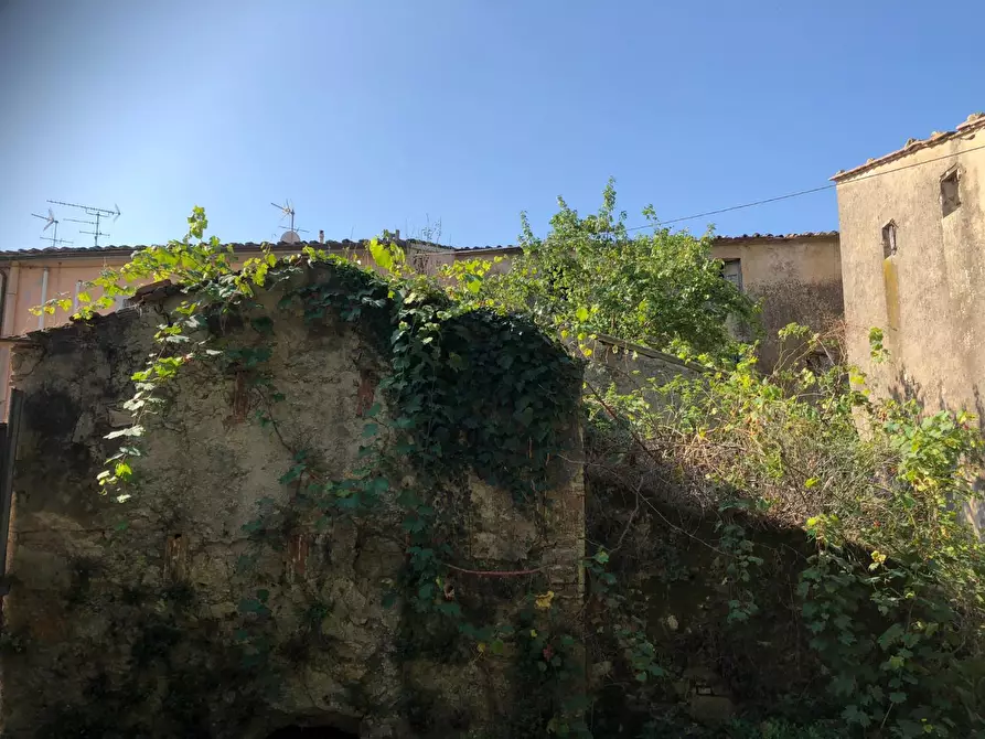 Immagine 13 di Rustico / casale in vendita  a San Giuliano Terme