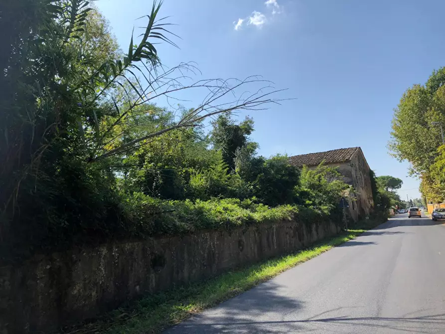 Immagine 23 di Rustico / casale in vendita  a San Giuliano Terme