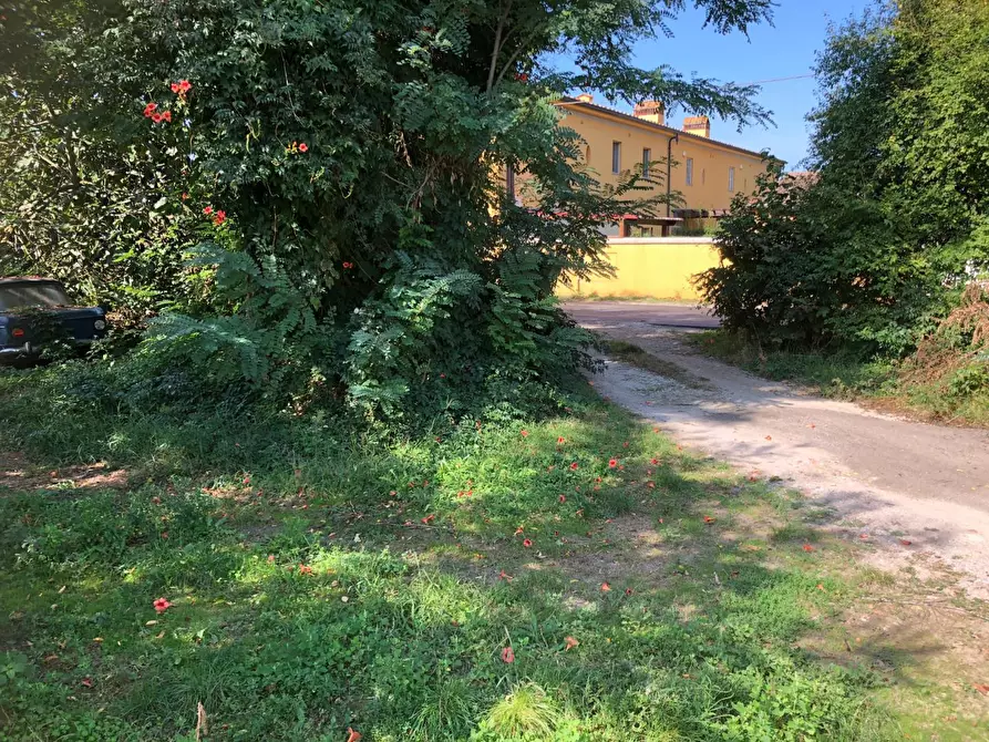 Immagine 11 di Rustico / casale in vendita  a San Giuliano Terme