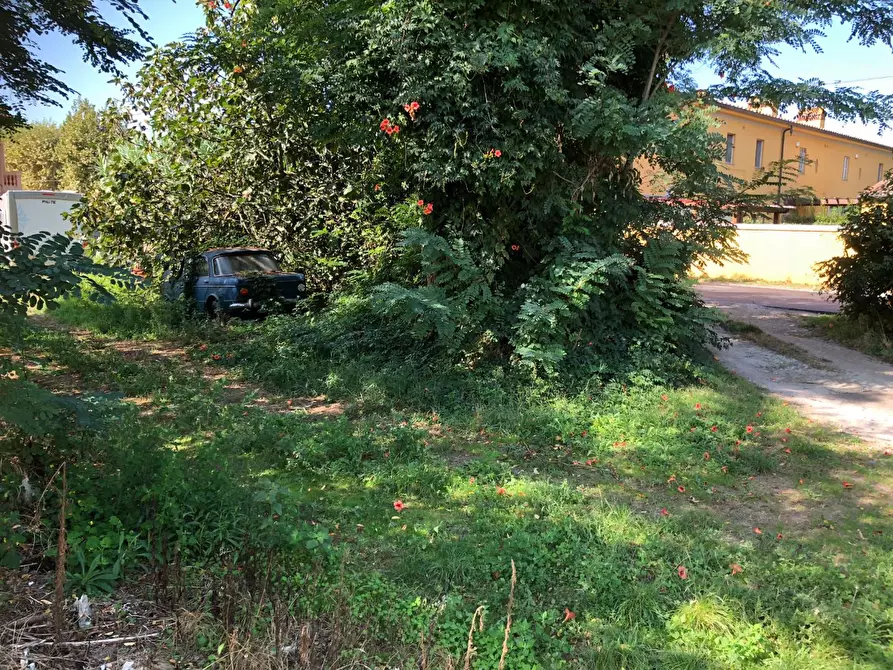 Immagine 10 di Rustico / casale in vendita  a San Giuliano Terme