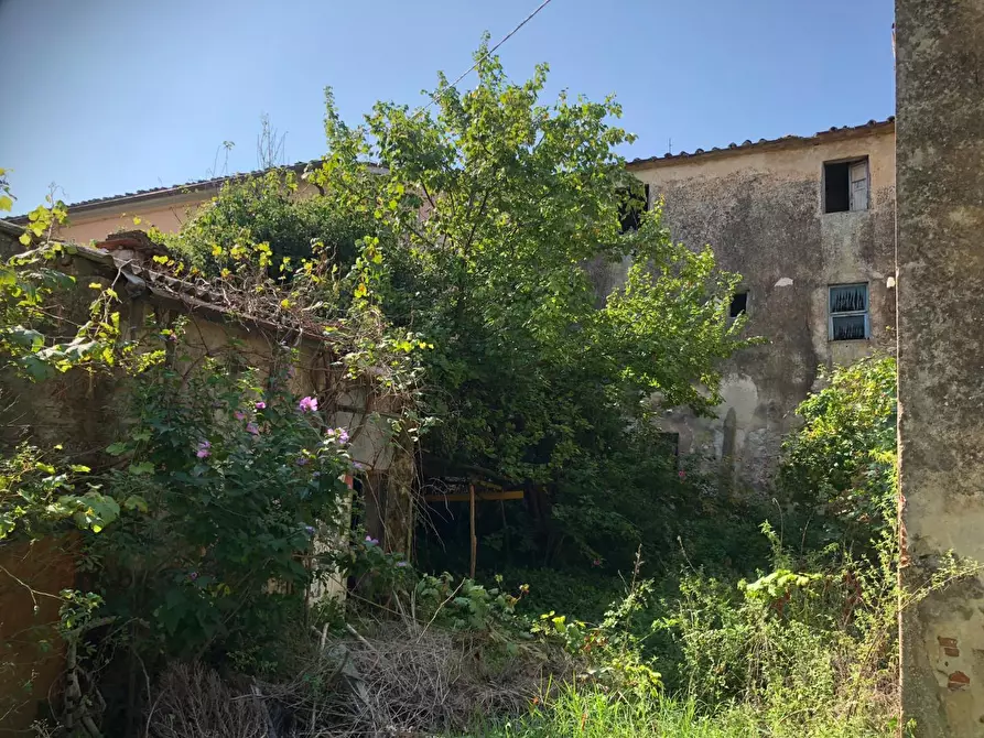Immagine 15 di Rustico / casale in vendita  a San Giuliano Terme