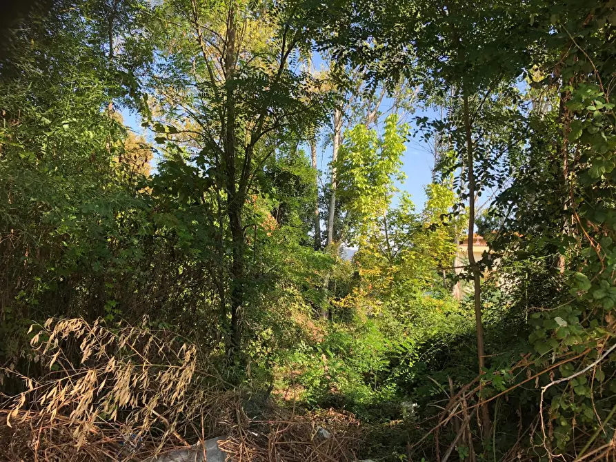 Immagine 20 di Rustico / casale in vendita  a San Giuliano Terme