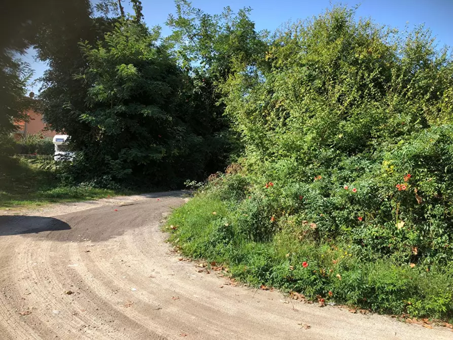 Immagine 9 di Rustico / casale in vendita  a San Giuliano Terme