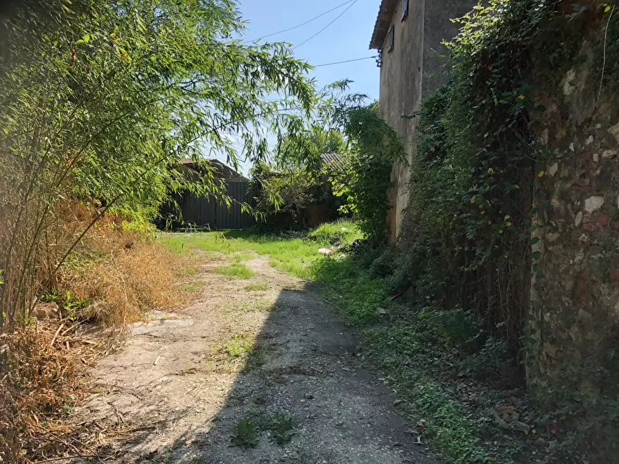 Immagine 22 di Rustico / casale in vendita  a San Giuliano Terme