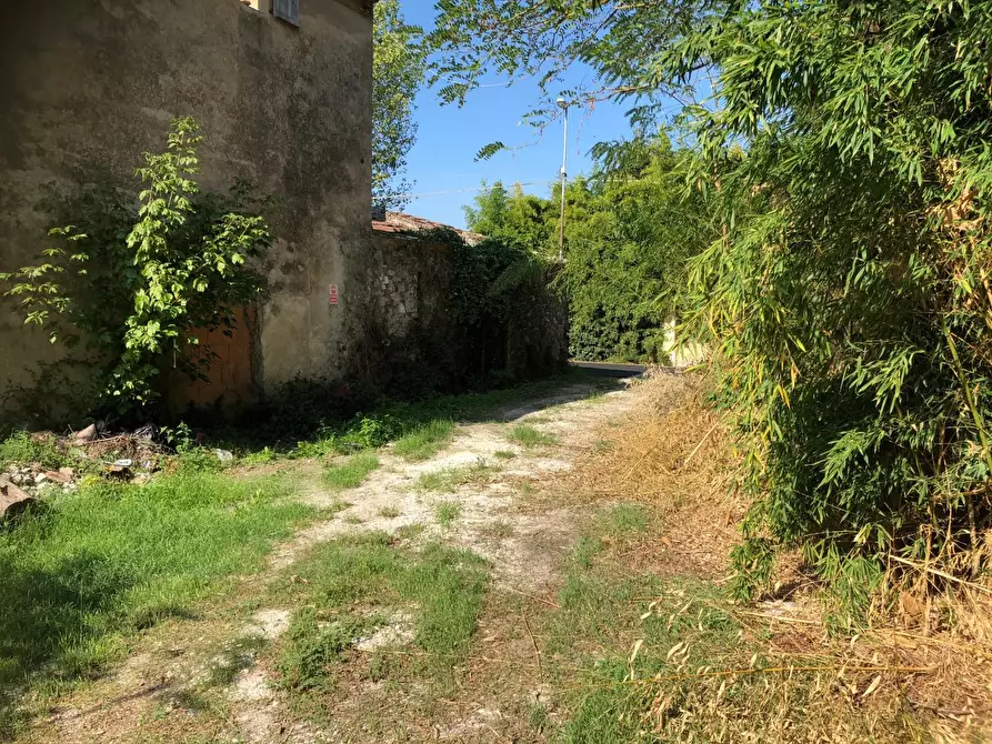 Immagine 21 di Rustico / casale in vendita  a San Giuliano Terme