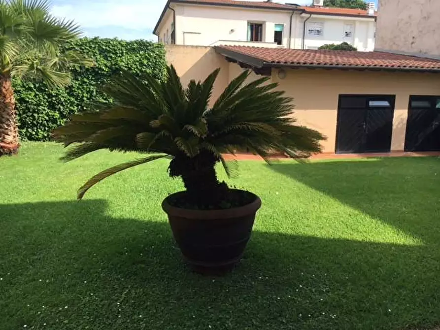 Immagine 8 di Villa in vendita  a Camaiore