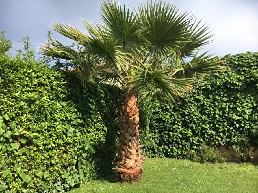 Immagine 40 di Villa in vendita  a Camaiore