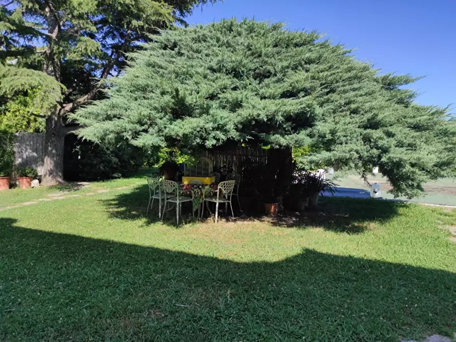 Immagine 2 di Villa in vendita  a Ameglia