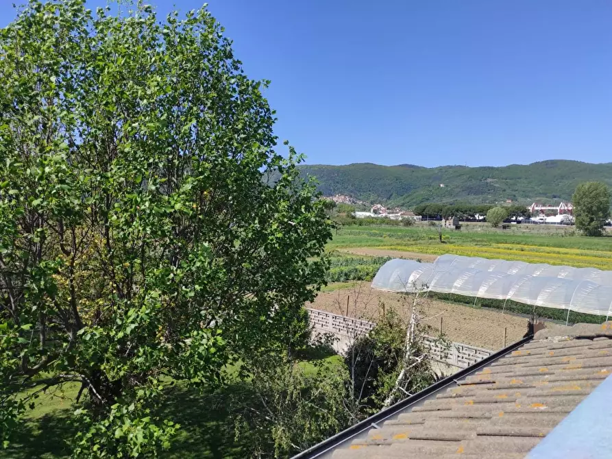 Immagine 65 di Villa in vendita  a Ameglia