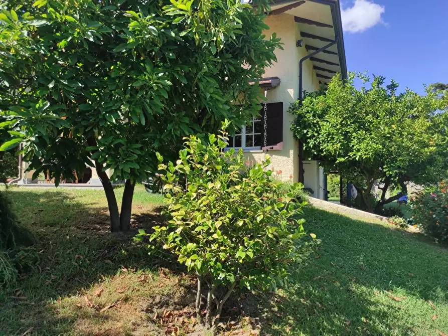 Immagine 40 di Villa in vendita  a Ameglia