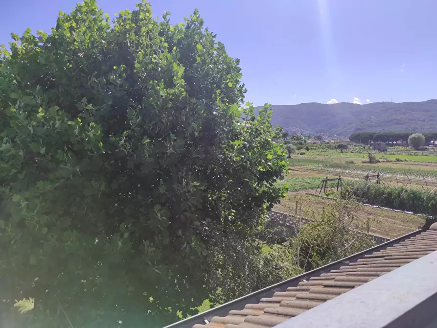 Immagine 15 di Villa in vendita  a Ameglia