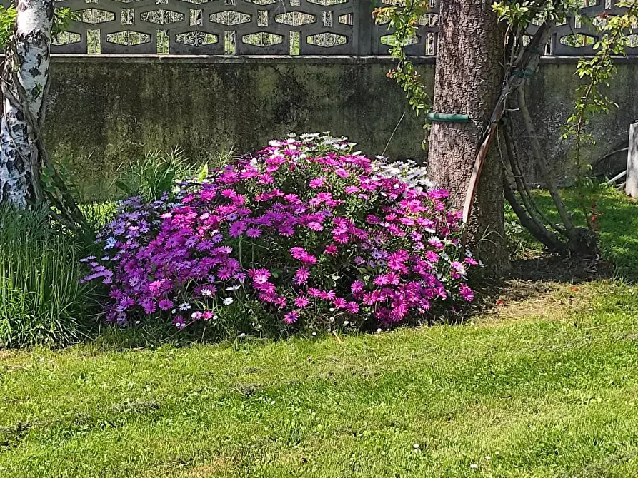 Immagine 76 di Villa in vendita  a Ameglia