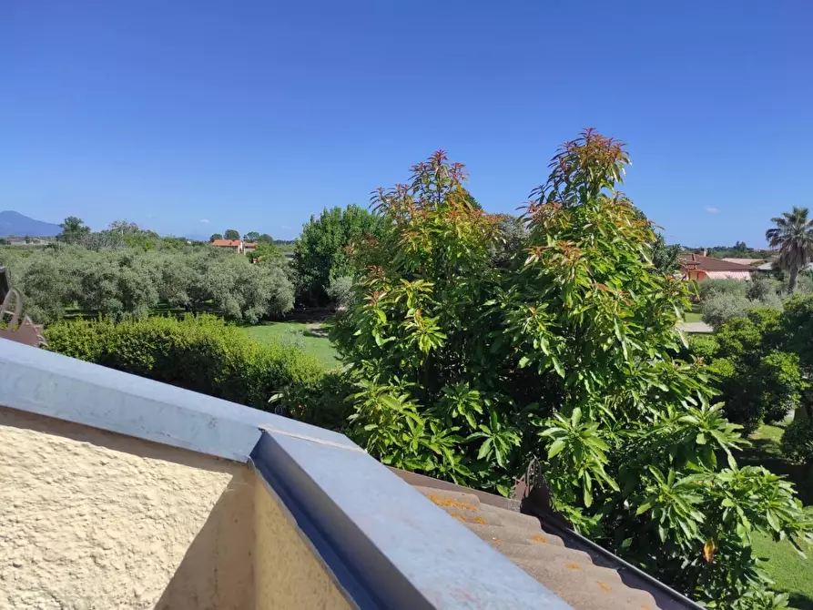 Immagine 16 di Villa in vendita  a Ameglia