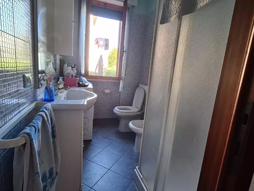 Immagine 6 di Appartamento in affitto  a Rosignano Marittimo