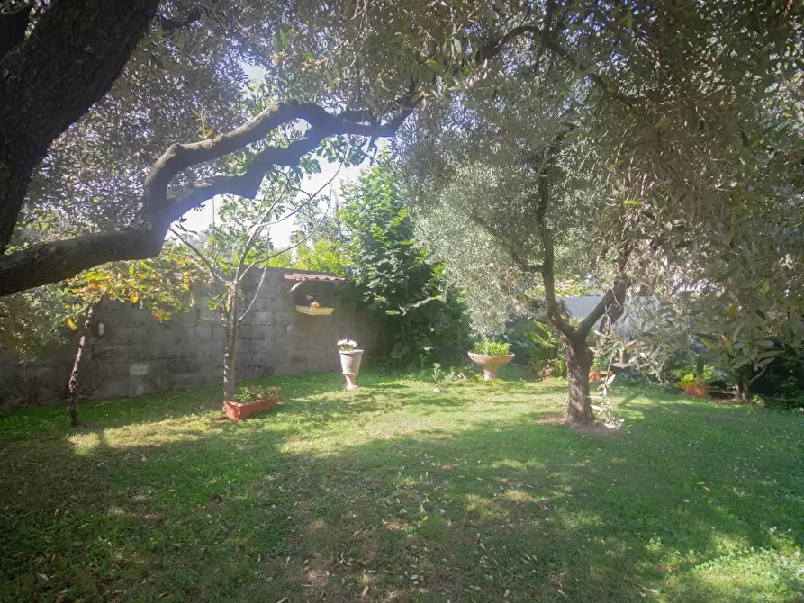 Immagine 11 di Appartamento in vendita  a Ortonovo