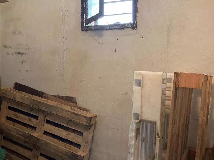 Immagine 15 di Terratetto in vendita  a Vicopisano