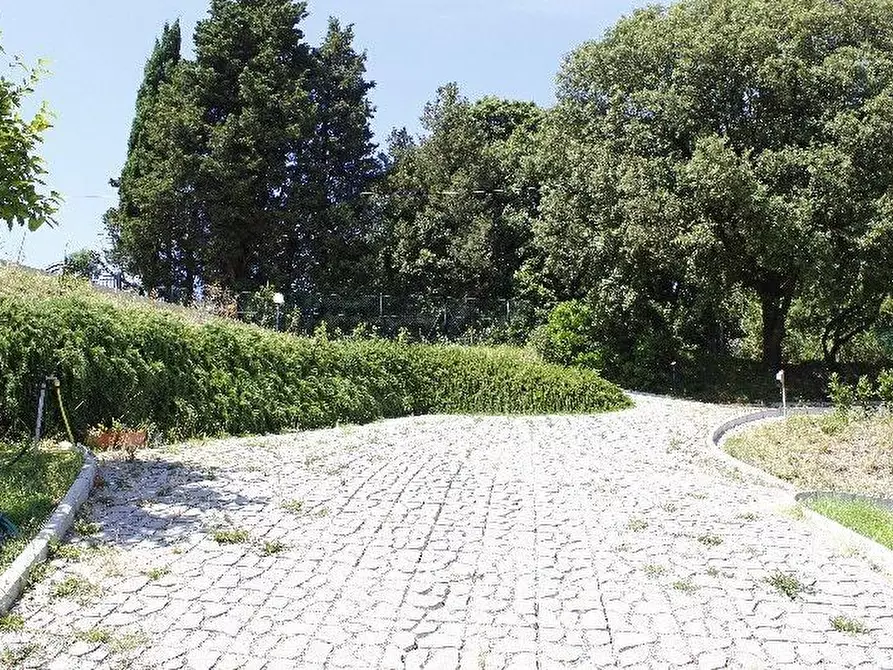 Immagine 4 di Villa in vendita  a Rosignano Marittimo