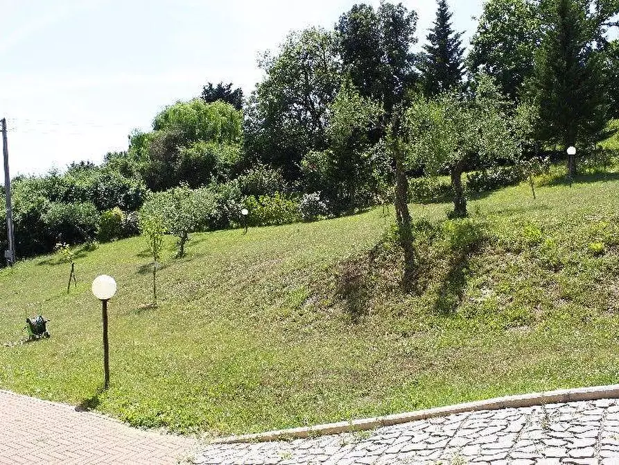 Immagine 12 di Villa in vendita  a Rosignano Marittimo