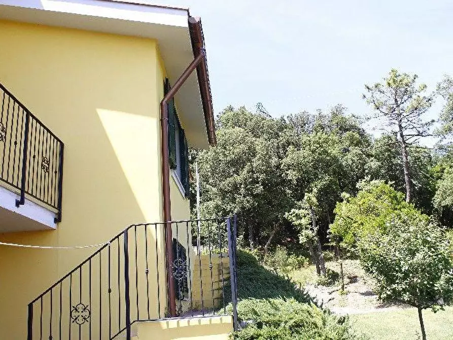 Immagine 9 di Villa in vendita  a Rosignano Marittimo