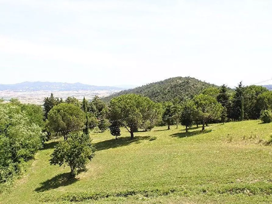 Immagine 7 di Villa in vendita  a Rosignano Marittimo