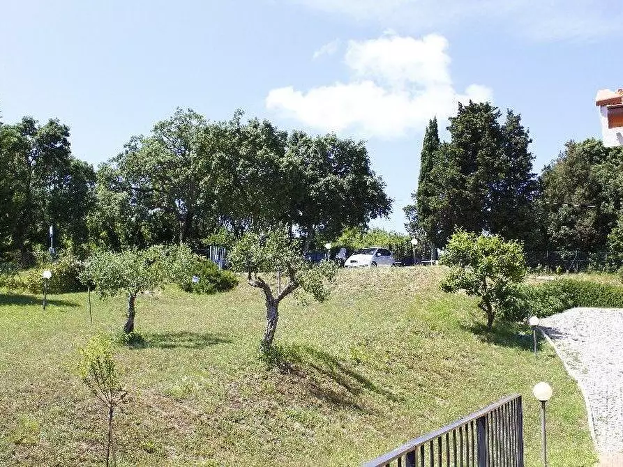 Immagine 8 di Villa in vendita  a Rosignano Marittimo